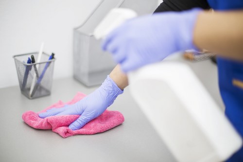 Carpet cleaners in Richmond providing professional deep cleaning in a home interior