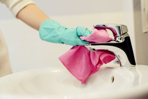 Carpet cleaning team using sustainable practices in Richmond