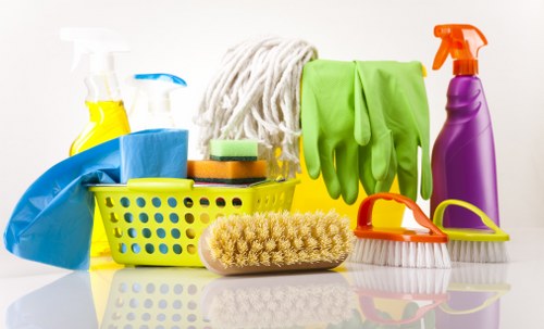 Experienced Richmond carpet cleaners inspecting carpet condition before treatment