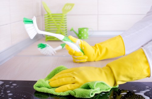 Ongoing accessibility review for Richmond carpet cleaning services