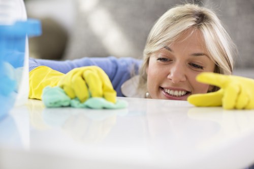 Technician performing deep oven cleaning in a Richmond kitchen