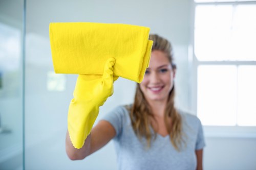 Richmond carpet cleaners delivering detailed carpet care for homes and businesses