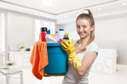 Bathroom cleaning and sanitising in Richmond