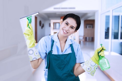 Upholstery stain treatment during sofa cleaning in Richmond