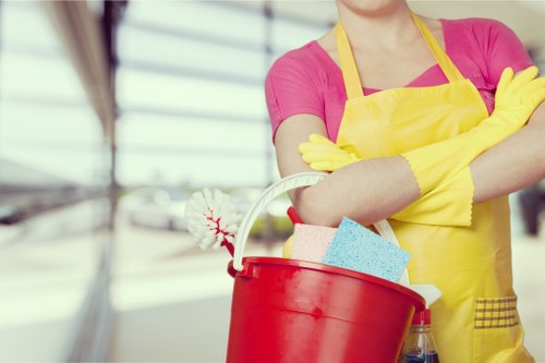 Professional carpet care removing stains and dirt