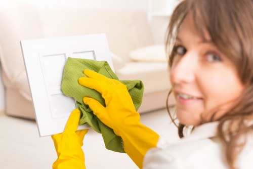 Close-up of oven cleaning tools and degreasing products in Richmond service