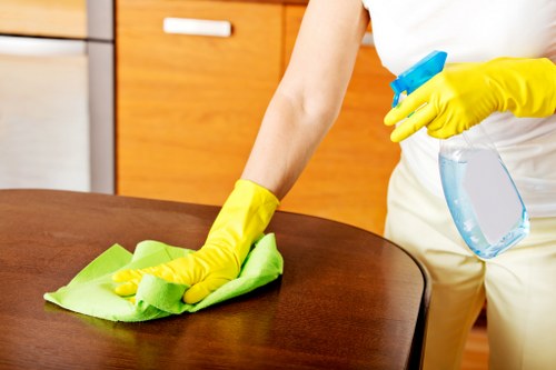 Deep carpet cleaning equipment used in a Richmond home