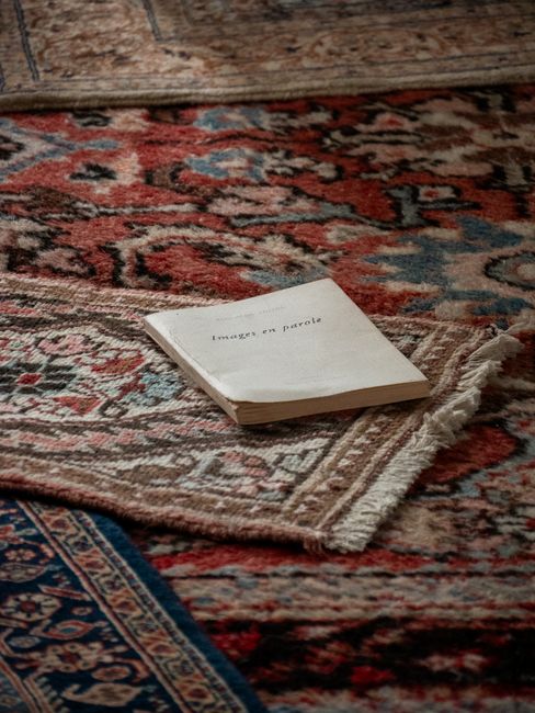 Close-up of a person vacuuming a patterned, traditional-style rug with a black vacuum cleaner in a well-lit room. The vacuum's motorized head is in contact with the multicolored floral design on the r